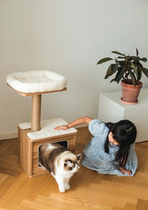 10 Modern Cat Trees That Will Look Fab in Your Home - Dwell Diy Cat Home, Cat Necessities, Pet Necessities, Interactive Playground, Modern Cat Tower, Wooden Cat Tree, Modern Cat Bed, Modern Cat Tree, Cat Things