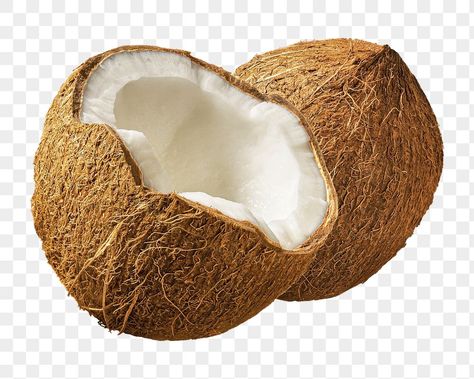 Malibu Aesthetic, Coconut Images, Tropical Png, Editing Pack, Png Fruit, Coconut Aesthetic, Tropical Elements, Coconut Fruit, Fruit Png