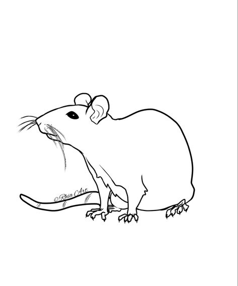 Rat Coloring Pages, Sketches Easy, Rats, Coloring Page, Coloring Pages, Quick Saves, Color, Art, Colouring Pages