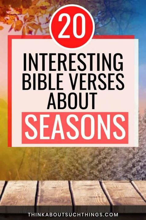 20 Interesting Bible Verses About Seasons Bible Verse About Seasons, Harvest Ideas, Monthly Quotes, Season Quotes, Prayer Station, Bible Topics, Personal Bible Study, Seasons Of Life, Bible Art Journaling