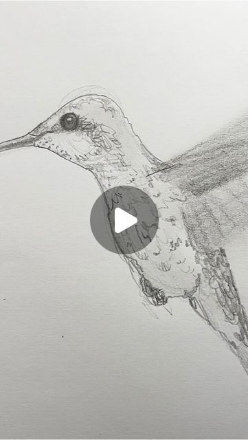 Mark Liam Smith on Instagram: "Draw a hummingbird in real time! Let’s draw together without time lapse. Why not give your scrolling thumb a break and pick up a pencil? Let’s draw!✍️ #drawinglesson #hummingbird" How To Draw A Hummingbird, Draw A Hummingbird, Hummingbird Art Drawing, Hummingbird Drawing, Bird Watercolor Art, Hummingbird Photos, Animal Caricature, Watercolor Hummingbird, Draw Together