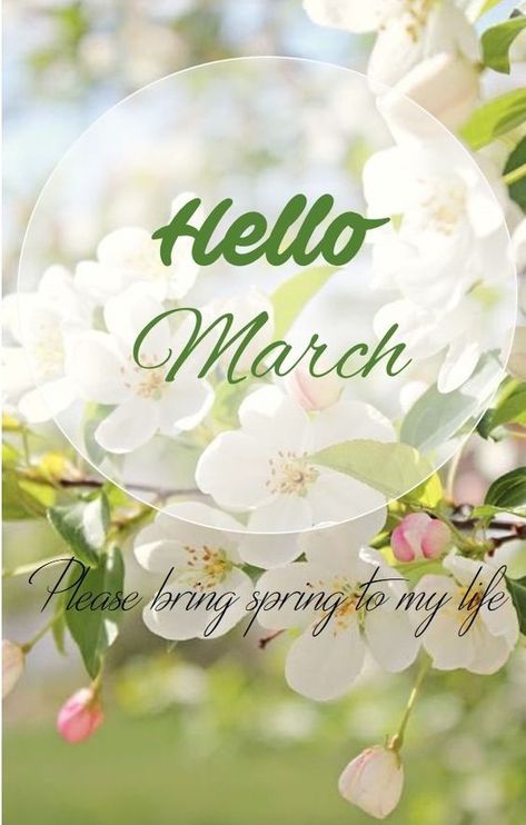 Hello March, Phone Wallpaper, Wallpapers, Iphone, Quotes, Flowers, Green