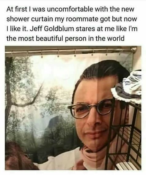 Jeff Goldblum from Jurassic Park to your bathroom 😂 Jeff Goldblum, Cool Illusions, Funny Sports, My Funny Valentine, Sports Memes, Avengers Funny, Funny Animal Memes, Sports Humor, Beautiful Person