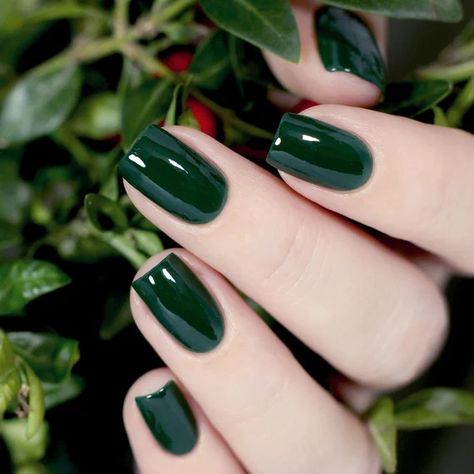 Nail Parlour, Forest Elf, Green Nail Designs, Green Nail Polish, Green Nail, Nagel Inspo, Cat Kuku, Elegant Nails, Chic Nails