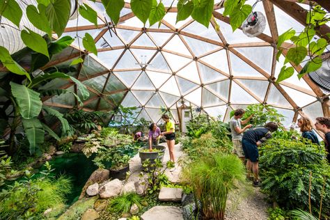 Tropical Greenhouse in Cold Cimate - Growing Spaces Greenhouses Geodesic Dome Greenhouse, Modern Greenhouses, Cob Building, Tropical Greenhouses, Dome Greenhouse, Large Greenhouse, Earthship Home, Home Greenhouse, Piscina Natural