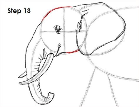 How to draw a African Elephant STEP BY STEP Elephant Head Drawing, Elephant Video, Draw An Elephant, Elephant Gif, Head Sketch, Drawing Instructions, Animal Drawings Sketches, Elephant Drawing, Anatomy Sketches