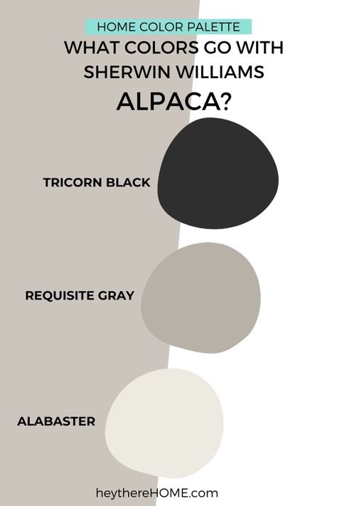 Alpaca Sherwin Williams Color Scheme, Sw Alpaca Paint, Sw Alpaca, Sherwin Williams Alpaca, Worldly Gray Sherwin Williams, Alpaca Sherwin Williams, Sherwin Williams Color Schemes, Worldly Gray, Ohio House