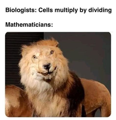 Biology Jokes, Biology Memes, Naruto Meme, Nerd Memes, Studying Memes, Nerd Jokes, Meme Maker, Funny Science Jokes, Science Jokes