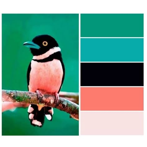 Color Palets, Color Schemes Design, Black Color Palette, Color Palette Challenge, Good Color Combinations, Color Schemes Colour Palettes, Acid Dyes, Nature Color Palette, Green Colour Palette