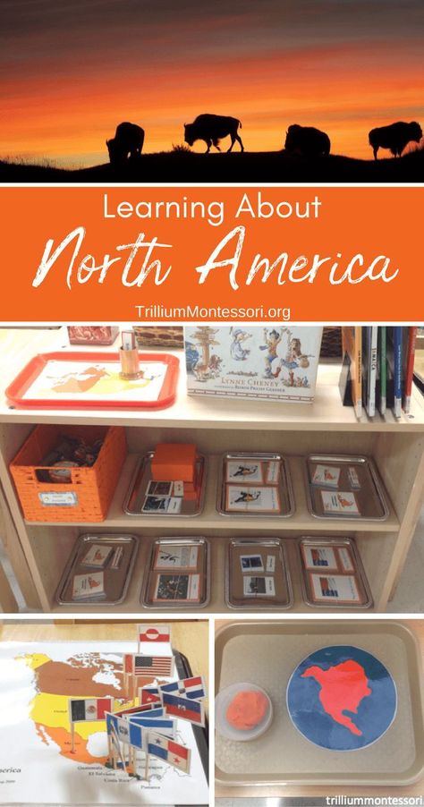 Montessori preschool activities for learning about North America Montessori Preschool Activities, Continent Boxes, Continents Activities, North America Continent, America Continent, Montessori Activities Preschool, Montessori Geography, America Theme, Montessori Cards