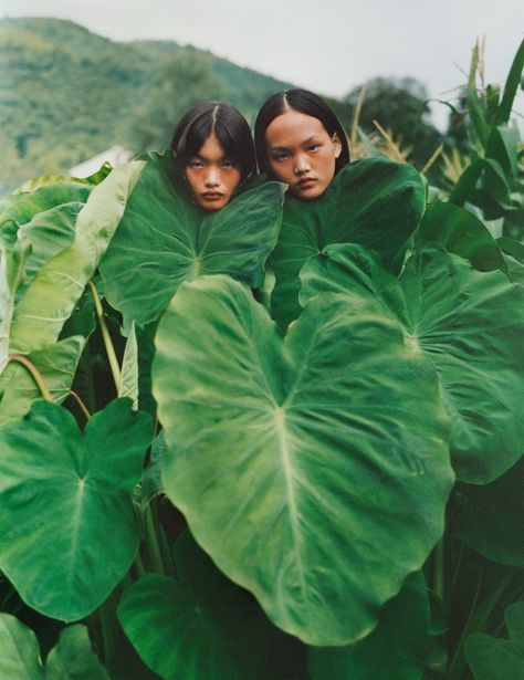 Nature Editorial, Plant Photography, Fashion Images, Photography Inspo, Editorial Photography, Film Photography, Photo Inspiration, Editorial Fashion, Photography Inspiration