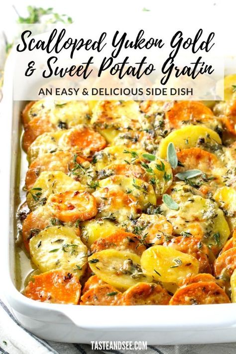 Two Potato Gratin, Scalloped Yukon Gold And Sweet Potato Gratin, Yukon Gold Scalloped Potatoes, Sweet Potato Gratin Recipes, Shredded Potatoes Recipes, Yukon Potato Recipes, Gold Potato Recipes, Yukon Gold Potato, Scalloped Sweet Potatoes