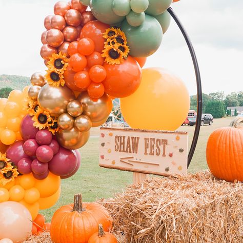 Shaw Fest 2024! 🍂🍁 Was one for the books! We are super excited for fall! This event was packed with Sunflowers 🌻, Ceiling Garlands & a bunch of fall activities. We are super grateful to be apart of this event ✨ #balloongarland #balloondecor #falldecor #fallvibes #fallfestival #shawfest #eventdesign #eventdecor #sunflowers Fall Festival Decorations Outdoor, Sunflower Balloon Garland, Festival Decorations Outdoor, Sunflower Balloon, Fall Festival Decorations, Excited For Fall, Fall Activities, Autumn Activities, Fall Festival