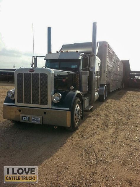 ~Bullboy~ Thanks and all credits to Kokomo Joe  "This truck loaded in Giddings, Texas" Bull Hauler, Texas Truck, Big Rig, Truck Driver, Wagons, Texas, Trucks, Quick Saves