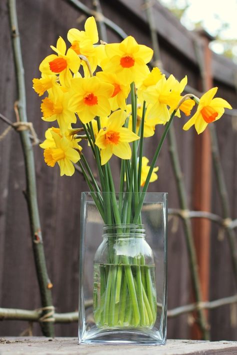 Craft How to make an easy Easter centerpiece Daffodil Centerpiece, Easter Centerpiece, Spring Centerpiece, Yellow Daffodils, Easter Centerpieces, Favorite Flowers, Easy Easter, I Made It, Floral Arrangement