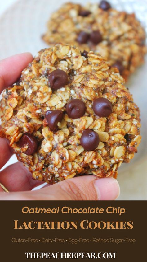 Oatmeal Chocolate Chip Lactation Cookie being held over other cookie that is placed on a gray dish. Heathy Sweets, Chocolate Chip Lactation Cookies, Breastfeeding Food, Breastfeeding Recipes, Allergy Friendly Cookies, Postpartum Meals, Lactation Cookies Recipe, Increase Breastmilk, Baby Recipes