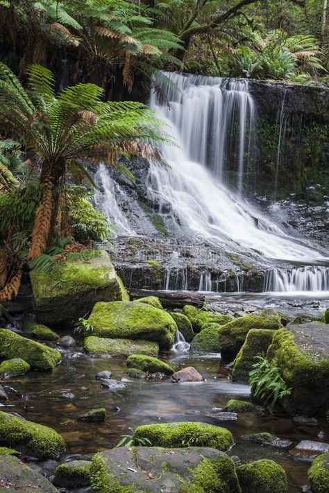 Russell Falls, Mount Field National park, Tasmania, Australia. #Sponsored , #Affiliate, #PAID, #Falls, #Field, #Tasmania, #Mount Tasmania Photography, Tasmania Forest, Flinders Island Tasmania, Mount Field National Park Tasmania, Tasmania Landscape, Cradle Mountain Tasmania, Brochure Design Template, Tasmania, Photo Tips