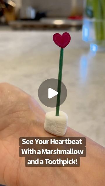 Raising Dragons on Instagram: "See Your Heartbeat With A Marshmallow and A Toothpick 💗 All you need is a toothpick and a mini marshmallow (and a heart sticker is optional) for this easy and super cool science experiment. Place the toothpick in the marshmallow and sticker on top of the toothpick if you have one. Then feel on your wrist for your pulse. Place the marshmallow on top of the pulse area and watch the toothpick move to the beat of your heart! So cool! #science  #scienceexperiment #scienceiscool #homeschool #kitchenscience #kidsactivi" Raising Dragons, Marshmallow Crafts, Chalkboard Wall Art, Boredom Busters For Kids, Cool Science, Bored Kids, Abc Activities, Kid Experiments, Cool Science Experiments