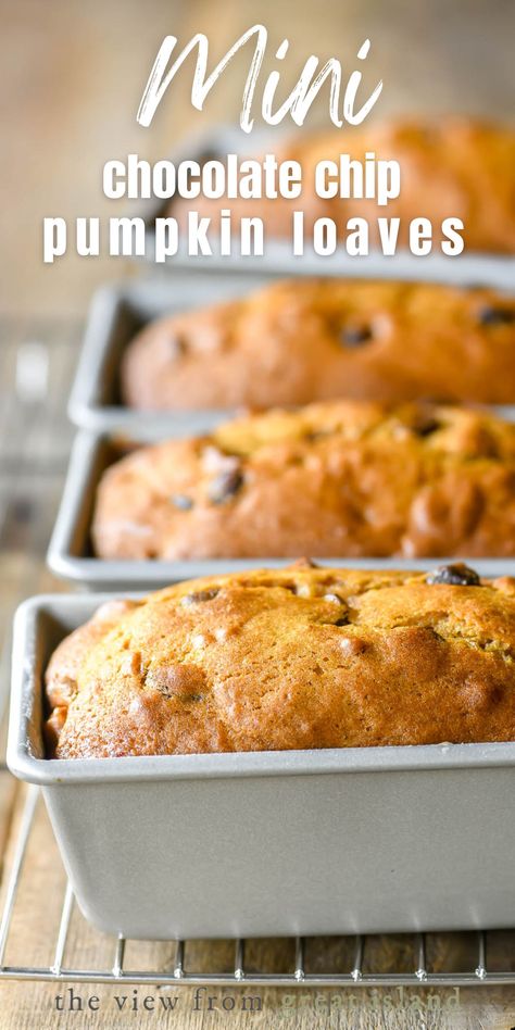 Starbucks Pumpkin Bread, Moist Pumpkin Bread, Sweet Breakfast Treats, Chocolate Chip Bread, Pumpkin Recipes Easy, Pumpkin Chocolate Chip Bread, Healthy Chocolate Chip, Pumpkin Chocolate Chip, Starbucks Pumpkin