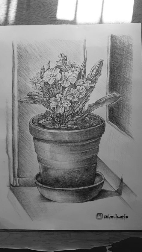 Flowerpot Drawings, Flower Pot Drawing Pencil, Flower Pot Sketch, Still Life Drawing Ideas, Pot Still Life, Pot Sketch, Flower Pot Drawing, Exam Images, Easy Still Life Drawing