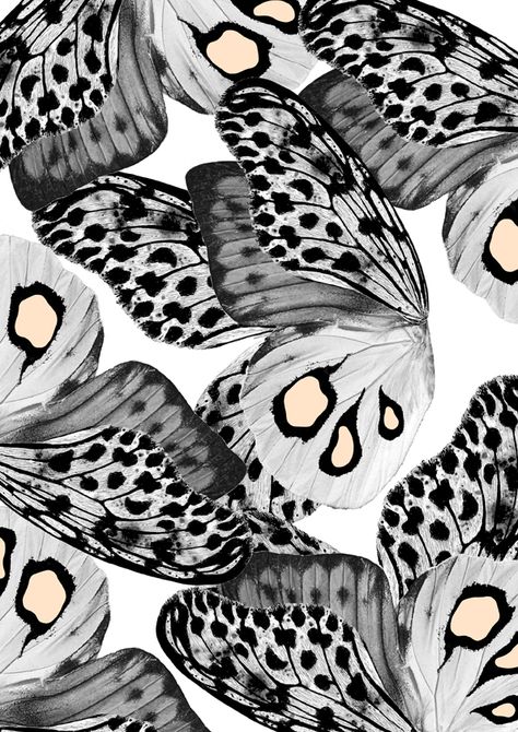 the IMPRINT project / Series # 04 on Behance Whats Wallpaper, Fotografi Iphone, Animal Print Wallpaper, Textile Pattern Design, Animal Prints Pattern, Print Inspiration, Jolie Photo, Butterfly Wallpaper, Print Wallpaper