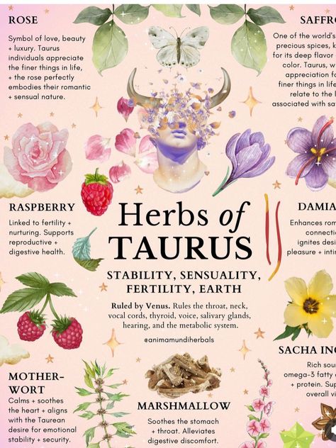 Herbal Astrology, Taurus Flower, Taurus Full Moon, Full Moon In Taurus, Taurus Zodiac Quotes, Moon In Taurus, Beauty Flowers, Smoked Meat, Lunar Eclipse