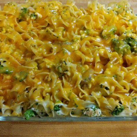 Cheesy Broccoli Noodle Casserole, Egg Noodles And Broccoli Recipes, Egg Wide Noodles Recipes, Egg Noodle Casserole Recipes, Wide Egg Noodle Recipes Dinners, Casserole Recipes Egg Noodles, Egg Noodles With Vegetables, Wide Egg Noodle Recipes, Wide Noodle Recipes