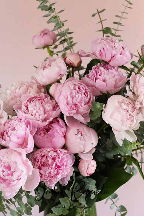 The prettiest pink peonies of the season freshly picked and artfully arranged with aromatic eucalyptus leaves. This lovely flower arrangement is presented in a stylish and slender glass vase lined with ti leaves. Featured Flowers: PeoniesRecommended for: Birthday, RomanceIncludes: Free Message Card Delivery: Guaranteed same-day flower delivery in Los Angeles and Orange County. Medium: 12 Peonies Flower Arrangements Peonies, Peonies Bouquet Aesthetic, Peonies Arrangement, Pastel Peonies, Pink Flower Arrangements, Peony Arrangement, Get Well Flowers, Flower Identification, Very Beautiful Flowers