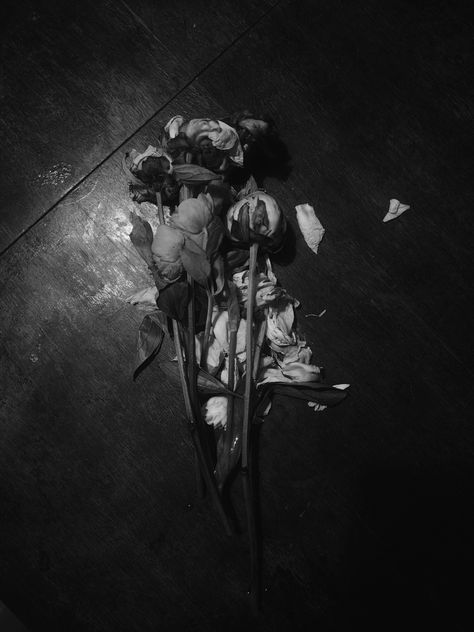 Flowers in the dark Wilted Flowers Aesthetic Dark, Wilting Flowers, Flower Portfolio, Wilted Flowers, Dead Flowers, Extremely Funny, Dark Flowers, Nothing But Flowers, Grey Flowers