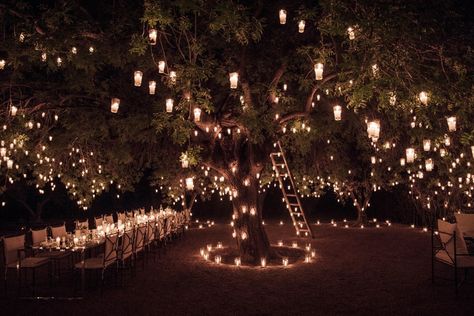 The Royal Mansour Marrakech offers its guests an exclusive and magical experience: a thousand and one dinner candles at Dar El Sadaka. Discover it here! Royal Mansour Marrakech, Moroccan Nights, Pepper Tree, One Candle, Candle Dinner, Boutique Homes, Wedding Mood, Lush Garden, Wedding Lights