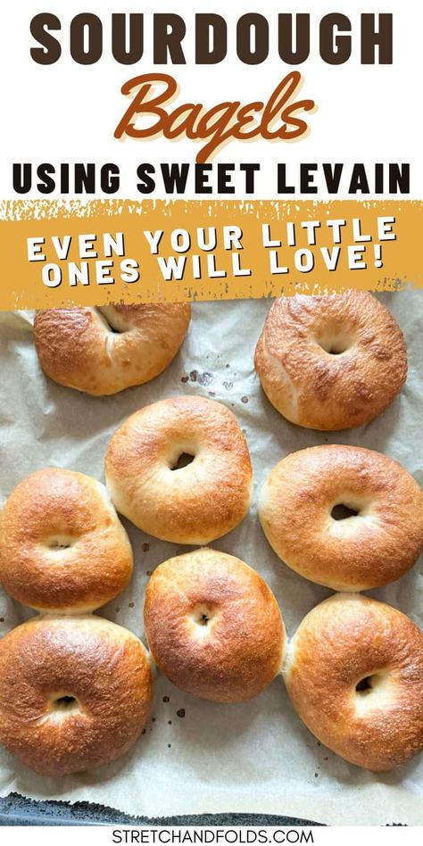 Sourdough Bagels Using Sweet Levain Sourdough Breakfast Recipes, Sourdough Bagels Recipe, Sourdough Bagel, Sourdough Breakfast, Dried Fruit Recipe, Artisan Sourdough, Bagels Recipe, Sourdough Bagels, Family Breakfast Recipes