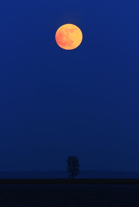 Indigo And Orange, Orange Branding, Sky Textures, Desk Wall, Iconic Wallpaper, Orange Aesthetic, Modern Fantasy, Beautiful Moon, Idea Board