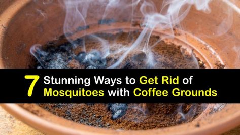 Coffee Grounds for Mosquitoes - Repel Mosquitoes with Coffee Burning Coffee Grounds For Mosquitos, Coffee Mosquito Repellent, Mosquito Trap Homemade, Mosquito Trap Diy, Fruit Fly Trap Diy, Repellent Diy, Mosquito Repellent Homemade, Diy Mosquito Repellent, Diy Bug Spray