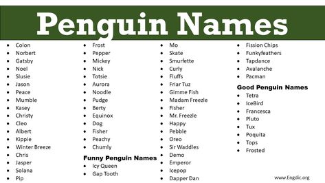 Penguin Names! When it comes to naming penguins, there are a few guidelines that need to be followed. The first rule is that the name must be two syllables long. This makes it easy for the penguins to learn their names and remember them. The second rule is that the name must be easy to say and fun to say. This helps when the penguins are vocalizing with each other. Some of the more popular names for penguins include Bubbles, Flip, and Tux. 350+ Penguin Names Cute Penguin Names Noel Nick Jasper P Penguin Names, Master Shifu, Best Names, Names Cute, Penguins Funny, Gap Teeth, Dapper Dan, Cute Penguin, Female Names