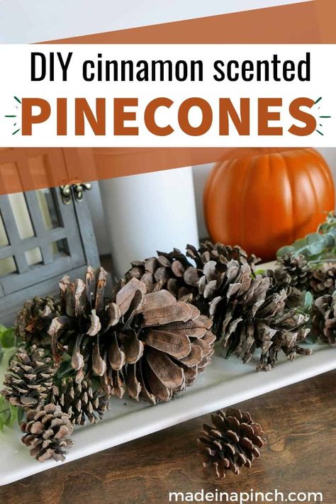 Make your own cinnamon scented pine cones! With 4 different methods included, these DIY cinnamon scented pinecones are non-toxic, can be used over and over again, and will fit your lifestyle. Make your home smell like fall and the holidays with these easy and amazing scented pine cones! #DIY #scentedpinecones #falldiy #fallscents #dinosaurgiftideas | Made in A Pinch @madeinapinch Diy Scented Pinecones, Cinnamon Scented Pinecones, Pine Cones Diy, Home Smell Like Fall, Scented Pine Cones, Smell Like Fall, Cinnamon Smell, Diy Cinnamon, Scented Pinecones