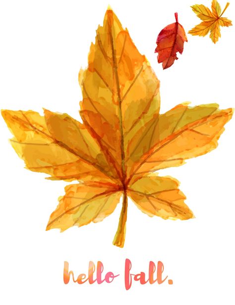 I love driving into the mountains and seeing all of the amazing colors and knowing that fall is finally here. Enjoy our Hello Fall Free Printable. Free Fall Printables, Craft Photography, Fall Inspiration, Fall Printables, Fall Is Here, Happy Fall Y'all, Hello Fall, Happy Fall, Hello Autumn