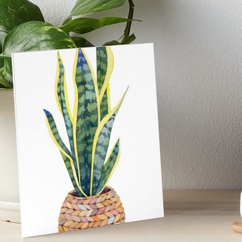 Professionally printed on firm, textured mat boards perfect for desks and shelves. Supplied with 3M velcro dots to easily affix to walls. Available in standard sizes. Watercolor illustration with Sansevieria Gouache Tutorial, Plant Watercolor, Watercolor Plants, Plant Painting, Snake Plant, Velcro Dots, Diy Art Painting, Painting Art, Watercolor Illustration