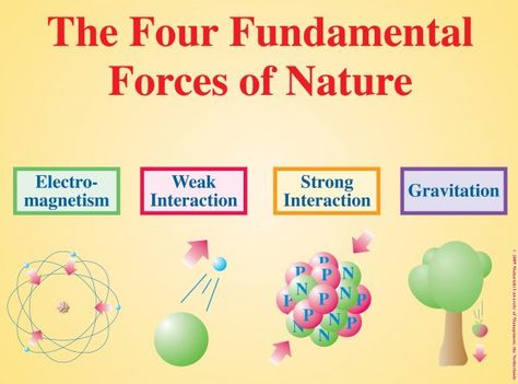 Force Physics, Physics Concepts, Nuclear Force, Physics Formulas, General Relativity, Forces Of Nature, Physicists, Quantum Mechanics, Quantum Physics