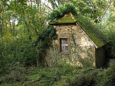 i like when the stone cottages are overgrown, not too cutesy with perfect gardens. i like crawling ivy, like nature's taking over it and the cottage is one with it's surroundings. Ruins Architecture, Beautiful Ruins, Stone Cottages, Witch Garden, Old Cottage, Dream Cottage, Stone Cottage, Cabins And Cottages, Perfect Garden