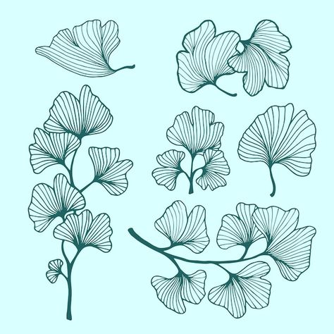 Gingko Leaves Drawing, Ginkgo Leaf Drawing, Ginko Leaf Tattoo, Ginkgo Leaf Tattoo, Cuff Tattoo, Gingko Biloba, Arm Band Tattoo, Botanical Tattoo, Leaf Drawing