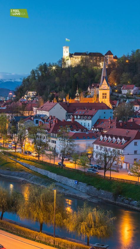 Lubiana è la vivace capitale verde della Slovenia dove troverai molte storie interessanti e angoli nascosti. Anche i paesi che la circondano hanno una ricca storia che puoi conoscere in modo divertente e attraente in compagnia delle guide locali. Solo un passo ti separa dal verde e anche lì puoi scoprire una serie di particolarità e segreti che ti possono svelare le guide. Slovenia Aesthetic, Slovenia Itinerary, Pretty Cities, Novo Mesto, Visit Slovenia, Chateau Hotel, Heart Of Europe, Europe Travel Destinations, European History