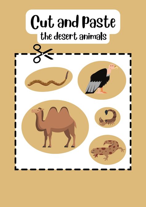 Desert Animals Worksheet, Desert Animals Activities, Classroom Attendance Chart, Dessert Animals, Desert Crafts, My Busy Books, Animal Lessons, Morning Activities, Animal Worksheets