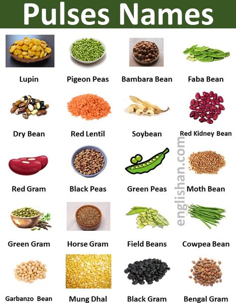 10 Pulses Name, 20 Pulses Name in English, 20 Pulses Name, Pulses Name Hindi and English, 10 Pulses Name in English and Hindi, Masoor Dal in English Name, Moong Dal in English Name, Useful Pulses Name in English, Types of Pulses: 9 Different Varieties of Pulses List, 50+ Pulses Name in English with Pictures English To Urdu Vocabulary, Food Names In English, Beans Benefits, Urdu Vocabulary, Lentils Benefits, Pulses Recipes, English To Urdu, Culinary Cooking, Food Vocabulary