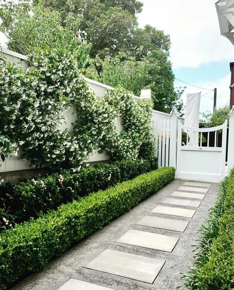 A wider view & before shot of this jasmine espalier. It’s a great idea for long narrow spaces. And all the windows along the side of this… | Instagram Narrow Garden, Garden Hedges, Side Yard Landscaping, Jasmine Plant, Driveway Landscaping, Front Garden Design, Ground Pools, Garden Wallpaper, Casa Patio