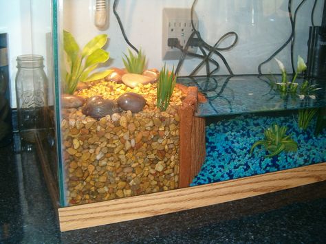 photo Turtle Setup, Aquatic Turtle Habitat, Pet Turtle Care, Turtle Cage, Aquatic Turtle Tank, Turtle Tank Setup, Diy Turtle, Turtle Enclosure, Turtle Basking Platform