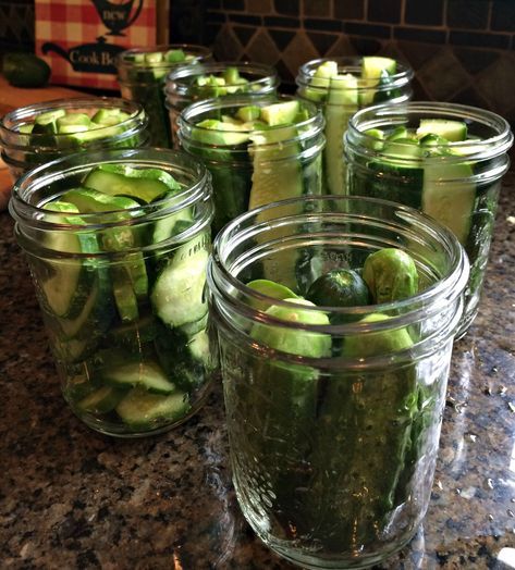 Garlic/Dill clausen pickles Claussen Pickles, Cake For Two Recipe, Quick Pickle Recipe, Quick Pickle, Garlic Dill Pickles, Quick Pickles, Pickle Recipes Homemade, Food For Health, Dill Pickle Recipe