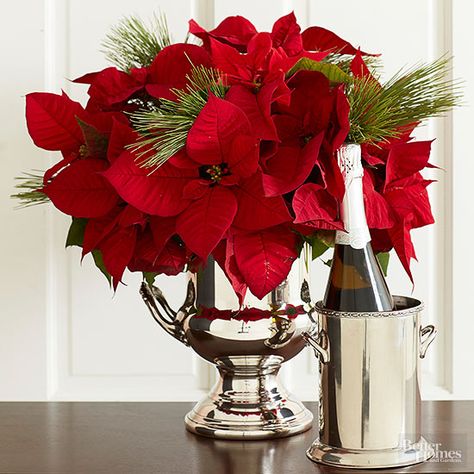 Poinsettia Arrangement, Poinsettia Centerpiece, Evergreen Candle, Poinsettia Decor, Poinsettia Plant, Christmas Vases, Arrangement Ideas, Poinsettia Flower, Engagement Party Decorations