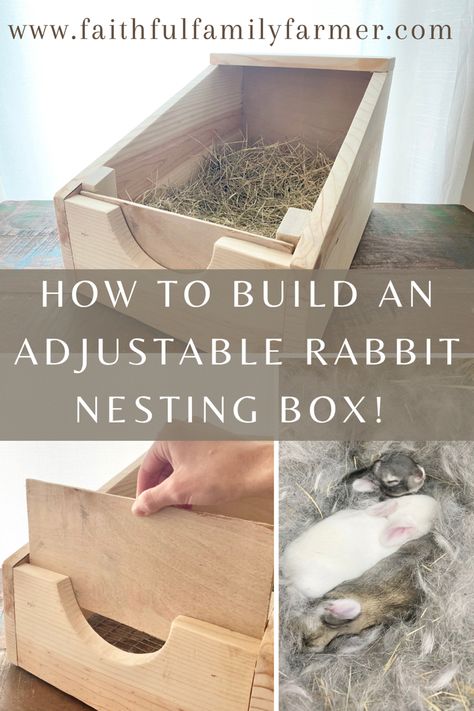 Baby rabbits and adjustable nesting box Rabbit Birthing Boxes, Nesting Boxes For Rabbits, Diy Rabbit Nesting Box Ideas, Rabbit Nesting Box Diy, Farm Rabbits, Homestead Basics, Rabbit Keeping, Rabbit Nesting Box, Diy Bunny Hutch