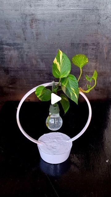 Sona Lepcha on Instagram: "Upcycle, Unleash, and Uplift: Transform Ordinary into Extraordinary with This DIY Light Bulb Planter" Lightbulb Planter Diy, Light Bulb Planter Hanging, Diy Plant Grow Light, Light Bulb Plant, Resin Light Bulb, Bulb Planter, Diy Light Bulb, Diy Light, March 16