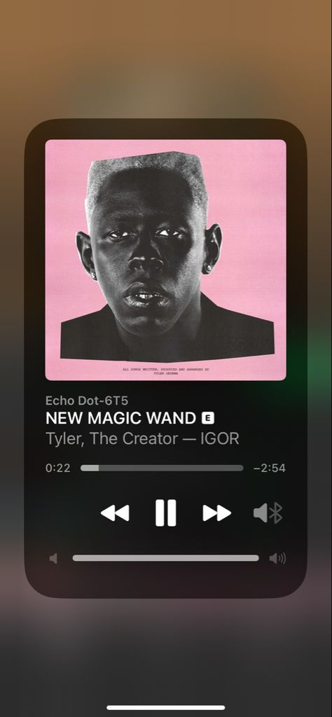 New Magic Wand, Tyler The Creator, Magic Wand, Echo Dot, Got Married, The Creator, Songs, Music